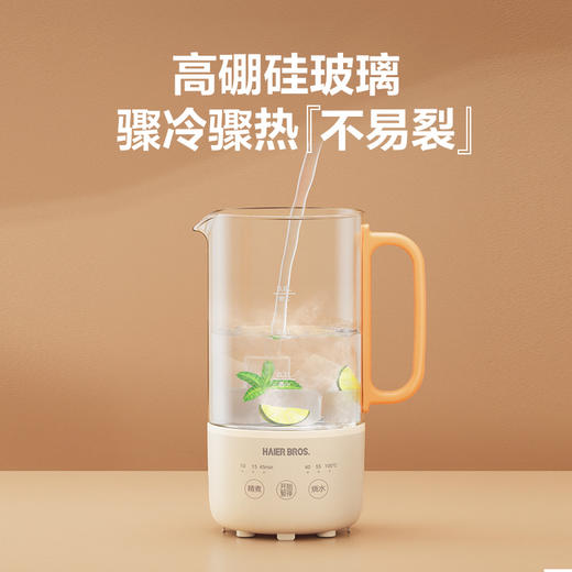 海尔兄弟 迷你养生杯 养生壶HL-EL101 商品图3