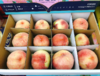 蓝箱水蜜桃礼盒（拼团） 商品缩略图1
