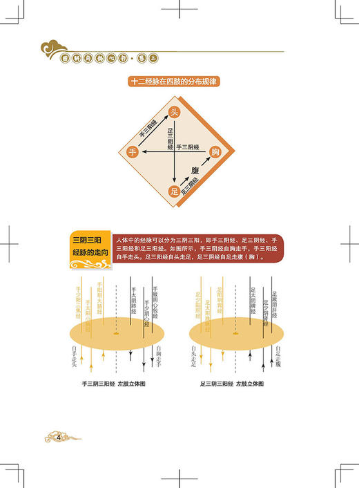图解扁鹊心书 中医学 以清乾隆三十年刻本为底本 结合生命科学养生理论和中国传统文化对其进行全面系统的诠释 中医古籍出版 商品图4