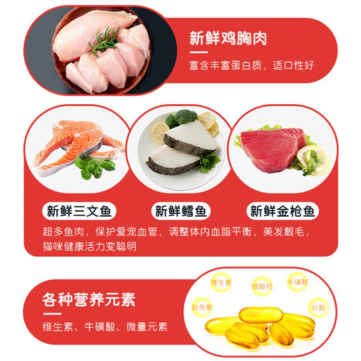 麦斯蒂猫草化毛颗粒100g猫咪零食 排毛球 商品图5