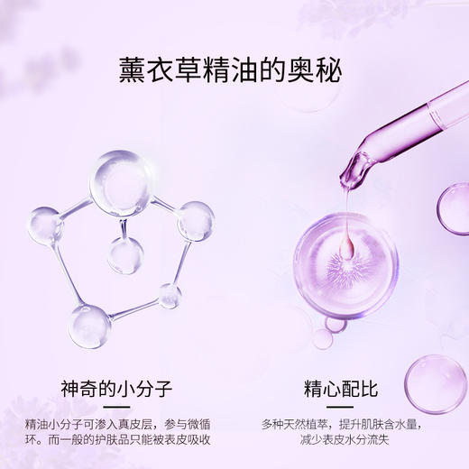 艾玛丝高地薰衣草精油10ml 商品图4