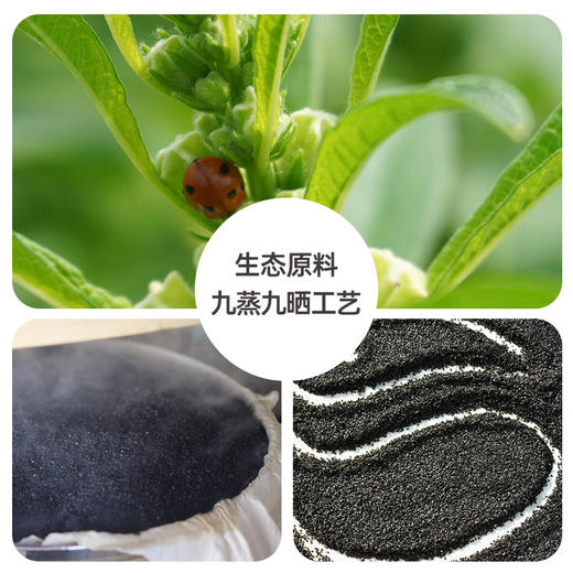 九蒸九晒黑芝麻丸【产地直发】@谦益 商品图6