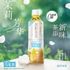三得利 茉莉乌龙（500ml） 商品缩略图0