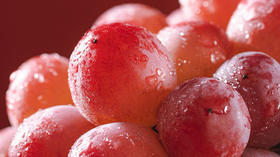  高甜爆汁、吃一颗满口红酒香的葡萄界“卷王”，我赌你没吃过！ 