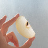 大生哥的饶阳皇冠梨 自然农法种植 梨香纯净 细腻清甜（衡水顺丰发货） 商品缩略图0