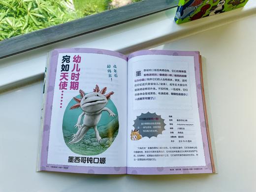 专家审读推荐：小学生生物科普漫画套装2册，张劲硕+邢立达 小天角 商品图4