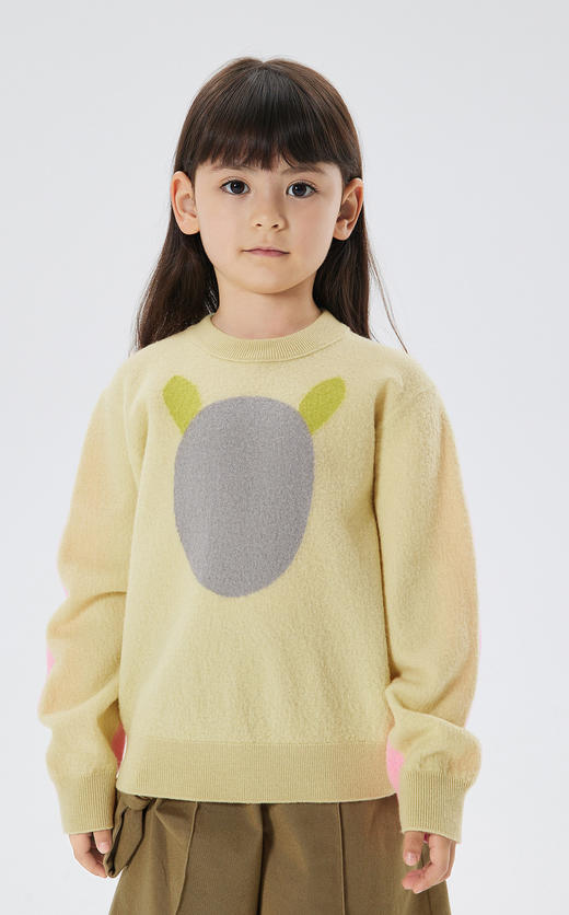 jnby  22年冬款  舒适印花长袖套头毛衫  1M0310110 商品图4