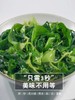 霞浦海带苗 商品缩略图1