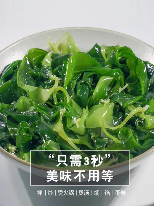 霞浦海带苗 商品图1