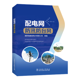 配电网防汛防台风