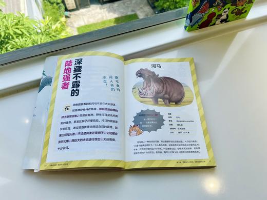 专家审读推荐：小学生生物科普漫画套装2册，张劲硕+邢立达 小天角 商品图3