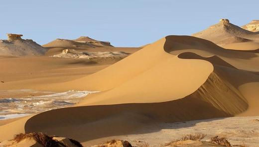 埃及90日单次商务签证北京送签 商品图4