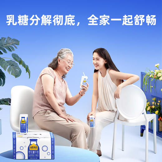 认养一头牛零乳糖小蓝盒纯牛奶250ml*10盒*1箱 商品图3