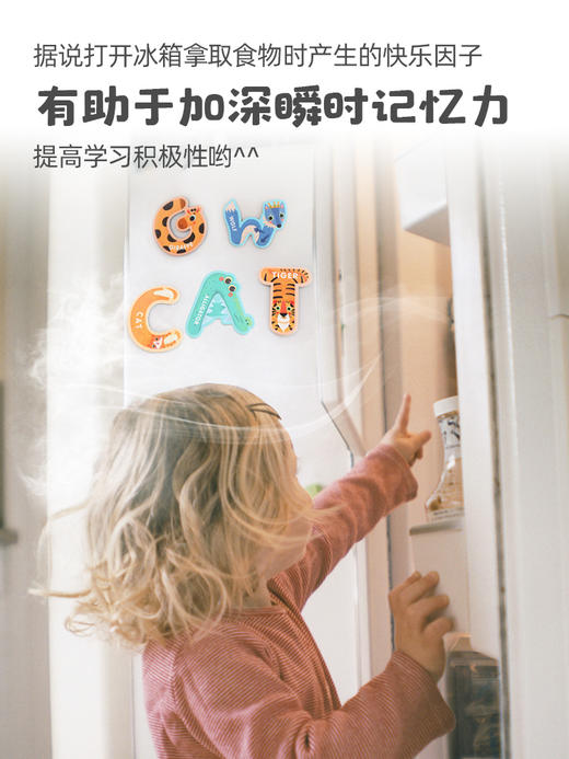 【激发孩子学习英语和数学潜能】GWIZ顽学儿童26英文字母数字动物冰箱贴磁力贴儿童英语早教玩具 商品图1