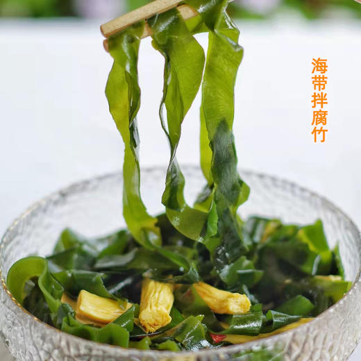 霞浦海带苗 商品图2