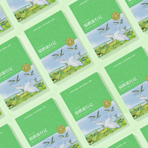 《骑鹅旅行记》 商品图2