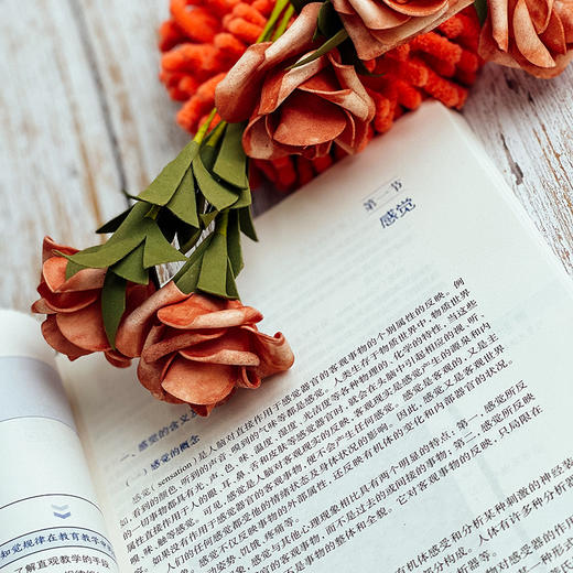 心理学原理与应用  高等师范院校教材 庄国萍王玲孙慧英编著 正版图书 华东师范大学出版社 商品图6