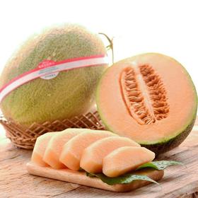 放心西州密蜜瓜 约1.5kg+/个