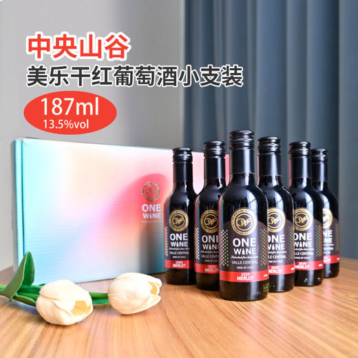 婉爱美乐干红187ml*6精致小瓶礼盒装 商品图1