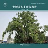 古树名木复壮与救护 商品缩略图2