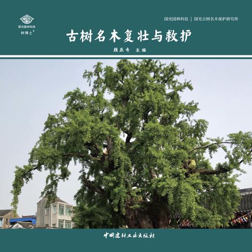 古树名木复壮与救护 商品图2