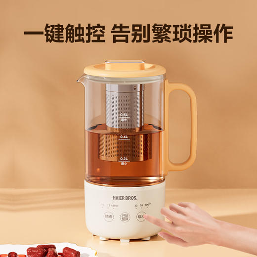 海尔兄弟 迷你养生杯 养生壶HL-EL101 商品图8