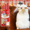 伊纳宝妙好啾噜猫零食 商品缩略图1