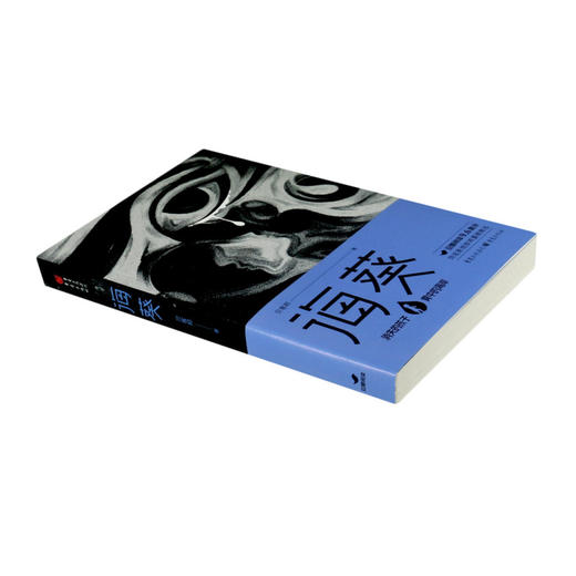 正版 海葵 《消失的孩子》原著小说 佟大为主演芒果TV豆瓣阅读征文大赛头奖、小雅奖励获奖作者贝客邦社会派悬疑开山力作小说书籍 商品图1