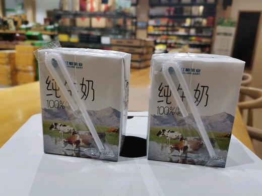 红梅乳业 纯牛奶箱装 12盒/箱 200ml/盒 商品图2