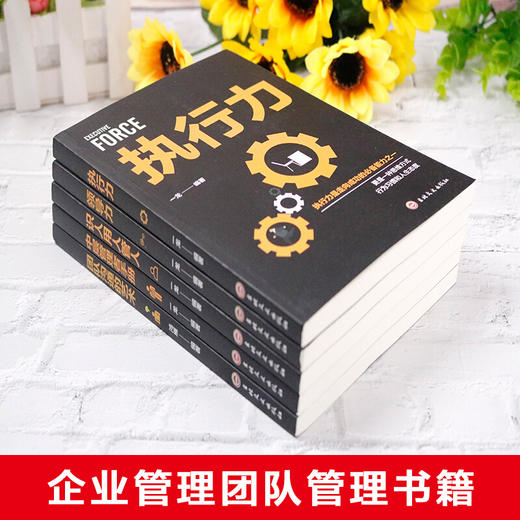 B190【18岁+】《领导力/执行力/识人/中层管理/团队沟通》（全5册）管理和领导识人用人的宝典【15元付邮领书】 商品图2