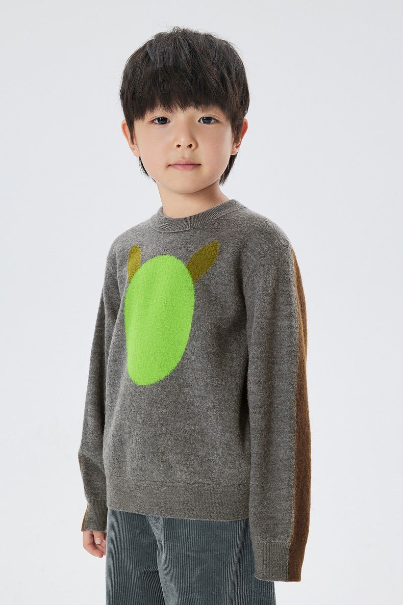 jnby  22年冬款  舒适印花长袖套头毛衫  1M0310110