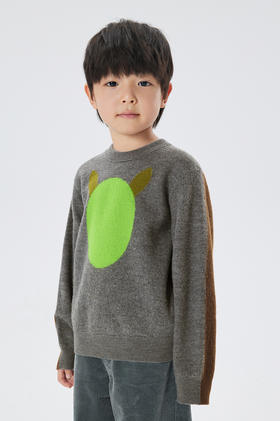 jnby  22年冬款  舒适印花长袖套头毛衫  1M0310110