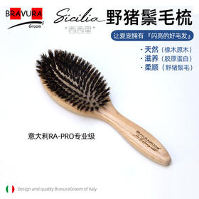 野猪鬃毛梳 RA-PRO专业级 西西里Sicilia 宠物美容橡木柄梳 意大利BravuraGroom