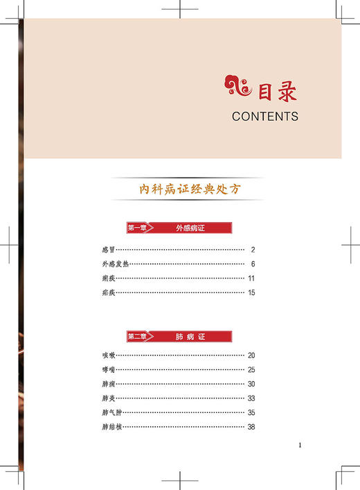 中医经典处方大全 历代名家辩治枢要 经典方剂效如桴鼓 历代名医经验精华有临床价值 李淳编著 中医古籍出版社 9787515224565 商品图2