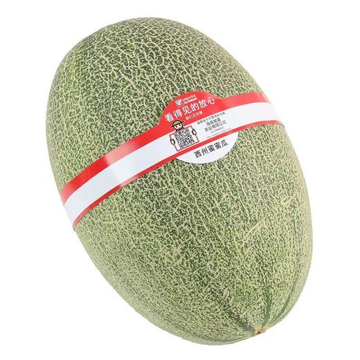 放心西州密蜜瓜 约1.5kg+/个 商品图3
