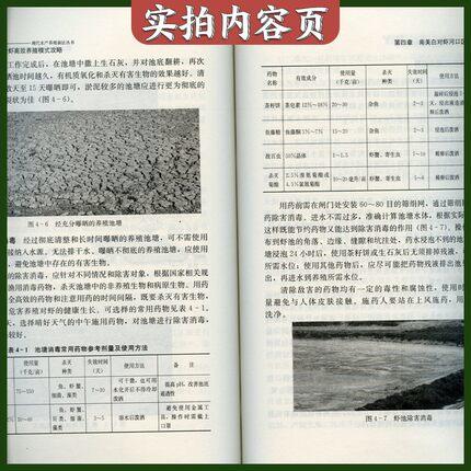 南美白对虾高效养殖模式攻略 商品图2