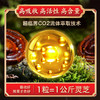 御沁品大桂山灵芝孢子油软胶囊滋补送礼盒长辈成人增强免疫力 商品缩略图4