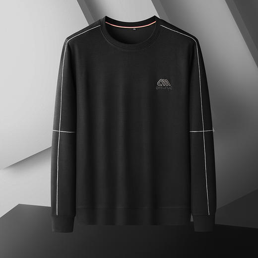 一口价【新款DDA】大依优型大码男士刺绣圆领卫衣宽松男上衣休闲加肥加大肥佬长袖百搭 商品图2