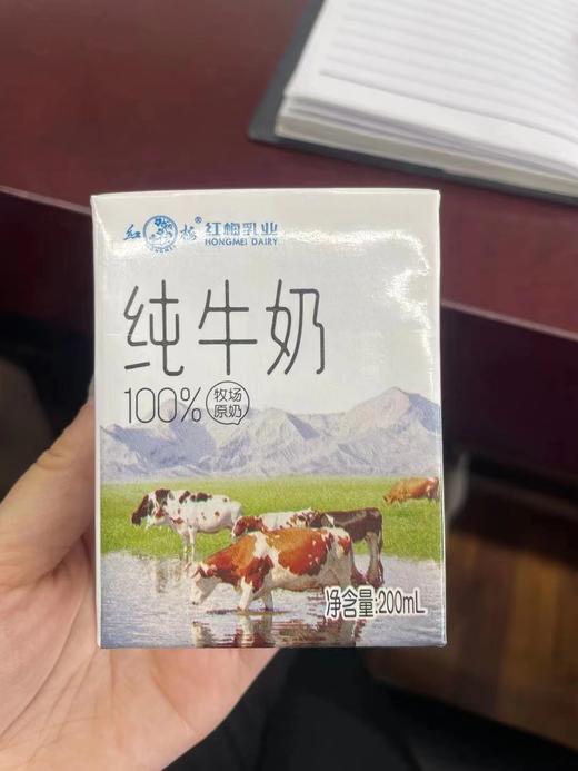 红梅乳业 纯牛奶箱装 12盒/箱 200ml/盒 商品图1