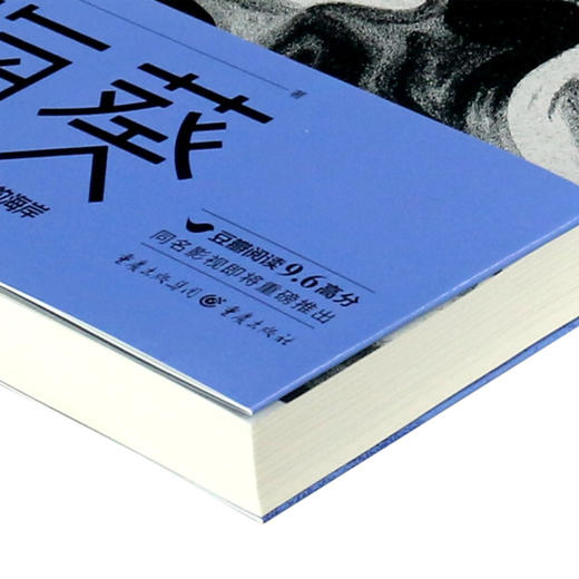 正版 海葵 《消失的孩子》原著小说 佟大为主演芒果TV豆瓣阅读征文大赛头奖、小雅奖励获奖作者贝客邦社会派悬疑开山力作小说书籍 商品图2