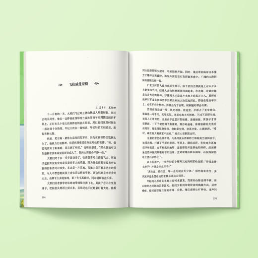 《骑鹅旅行记》 商品图3