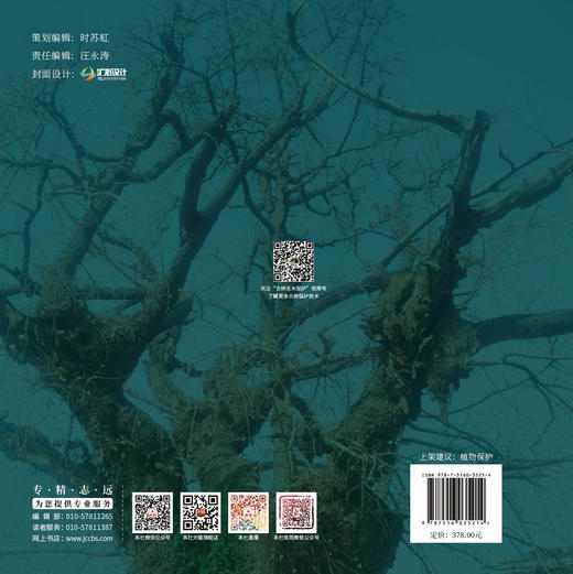 古树名木复壮与救护 商品图1