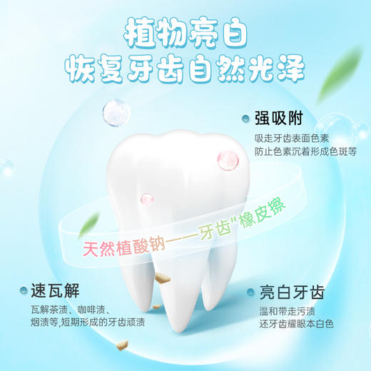 冰泉 WHIKO联名口香糖牙膏100g*2  送40g*2牙膏+2支牙刷FX 商品图1