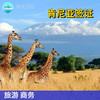 肯尼亚3个月单次商务签证+电子材料+全国受理 950元起 商品缩略图0
