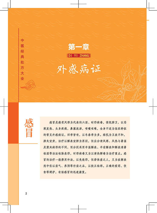 中医经典处方大全 历代名家辩治枢要 经典方剂效如桴鼓 历代名医经验精华有临床价值 李淳编著 中医古籍出版社 9787515224565 商品图3