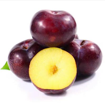 黑布李子  2斤10元 商品图0