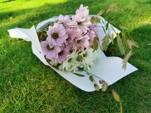 恋爱这件小事【你来了，爱也来了】简小姐精选治愈双色小雏菊 恋爱这件小事  2件包邮 下单7天内发货 商品图5