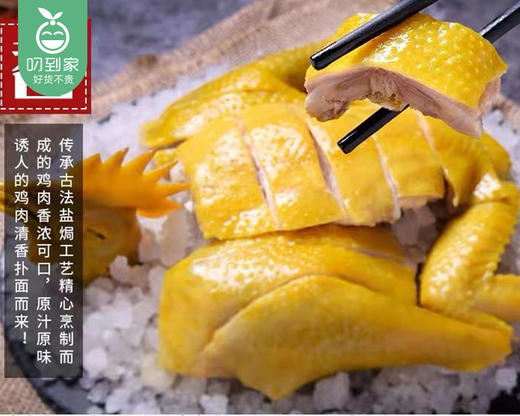 厚兴瑜记盐焗手撕鸡（450g±50g/盒）生产日期:4月16日 保质期：冷藏3天 商品图1