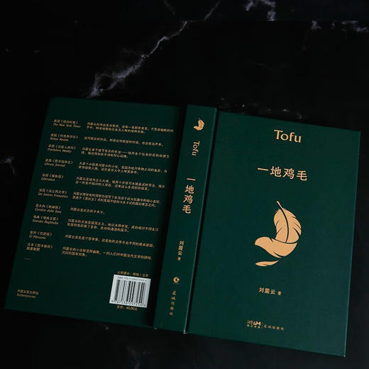 一地鸡毛 刘震云 著 文学 商品图2