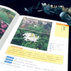 【花卉、园林植物、芳香植物、彩叶植物】识别图鉴（4本套装）比识花APP更精准 商品缩略图4